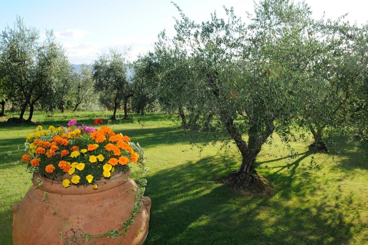 Agriturismo Bellosguardo Reggello Exterior foto